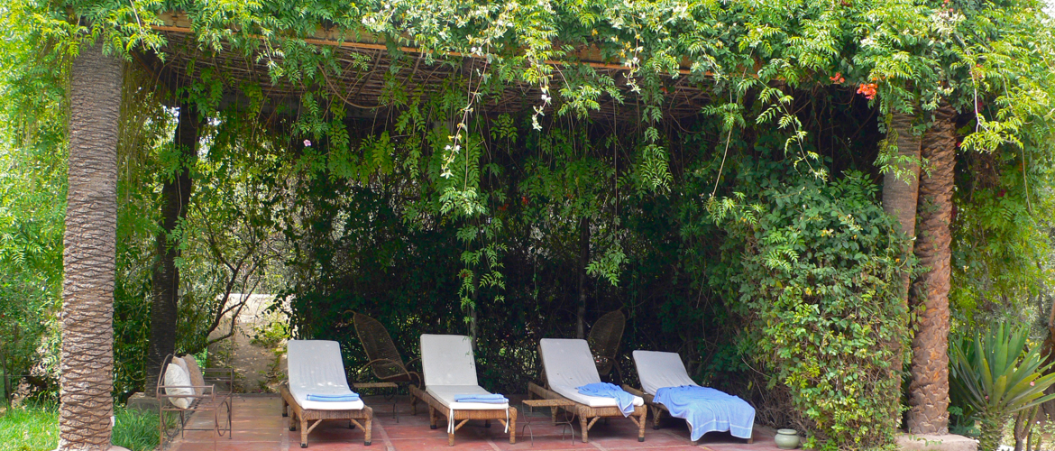 Pergola avec de nombreuses plantes pour créer un endroit agréable à l'ombre dans le jardin